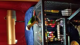 20191029_131303.webp