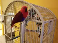 20191031_195214.webp