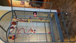 20180523_180800.webp