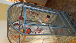 20180523_180814.webp