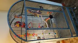 20180528_161040.webp