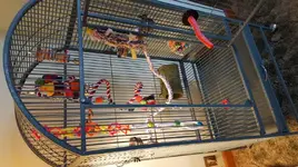 20180528_161052.webp