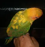 20191027_004659.webp