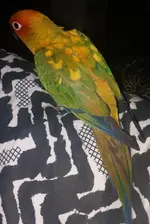 20191027_004503.webp