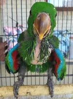 20210124_211319.webp