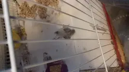 I'm Ready to Stand.webp