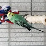20210119_093630.webp