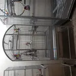 20210126_104024.webp