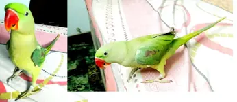 Untitled.webp