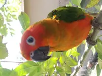 20180502_095111.webp