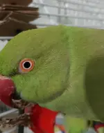 20180617_014430.webp