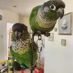 MaxandWalter2.webp