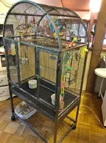 birdcage.webp