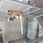 20210218_120027.webp