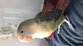 20191220_114023.webp