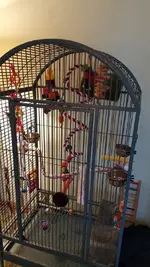 cage setup_3.webp