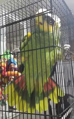 20210224_203823.webp