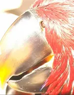 20210319_104159.webp