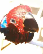 20210319_105306.webp