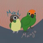 comission 1-mochi and mango.jpg