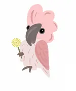 pink cockatoo.webp