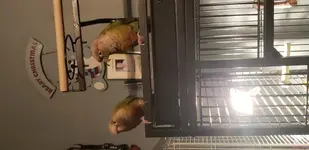 15802283911632800832790170711567.webp