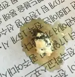 sIMG_3598(2).webp sIMG_3598(2).webp