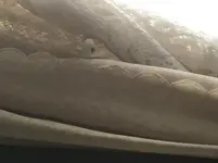 curtain spelunk-v.webp