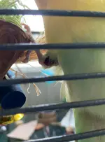 Screen Shot 2021-05-20 at 9.27.00 AM.webp