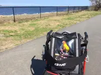 sunny in nbpt.webp
