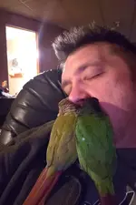 20190207_071853 (2).webp