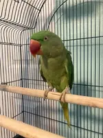 Screenshot_20210816-140038_Facebook.webp