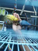 IMG_20210823_165407.webp