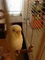 ImageUploadedByTapatalk1367258656.132519.webp ImageUploadedByTapatalk1367258656.132519.webp