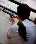 Birds2.webp