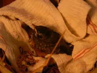 DSCN4159.webp