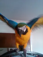 IMG00158-20110216-1327.webp