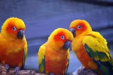 uploadfromtaptalk1367639681731.webp