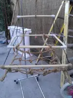 WP_000113.webp