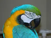 DSCN9510.webp