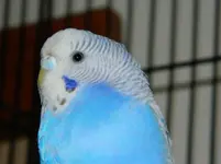 DSCN9532.webp