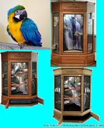 bird cage set up ideas.webp