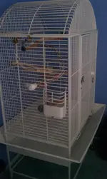 IMAG0010.webp