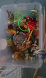 IMAG0008.webp