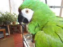 DSCN5874.webp