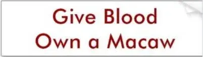 give blood.webp