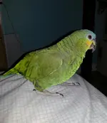 20130516_150232-1.webp