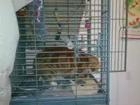 015.webp