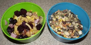 DSCF0928.webp