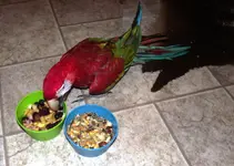 DSCF0929.webp